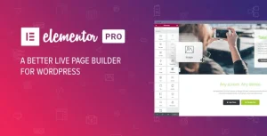 Elementor Pro | WordPress Websites Builder